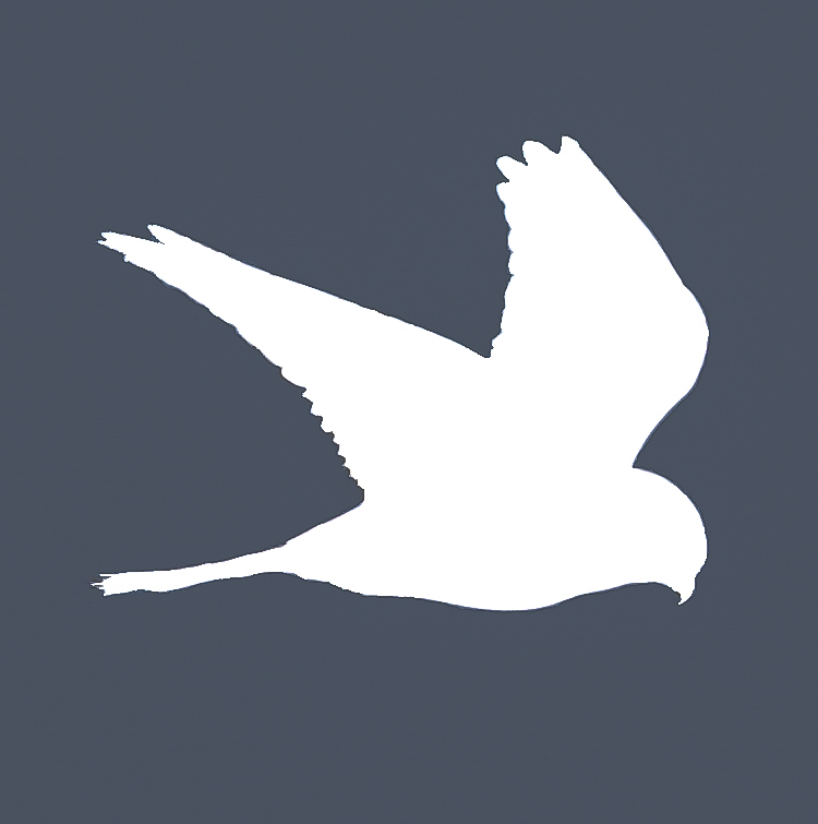 Kestrel Point Ventures Logo